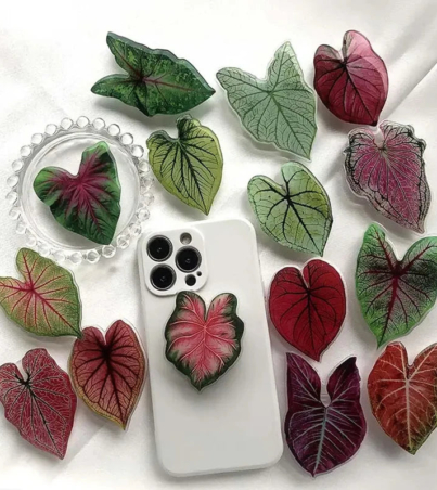 Ha38b40a7255e4838b718391285823b6ew